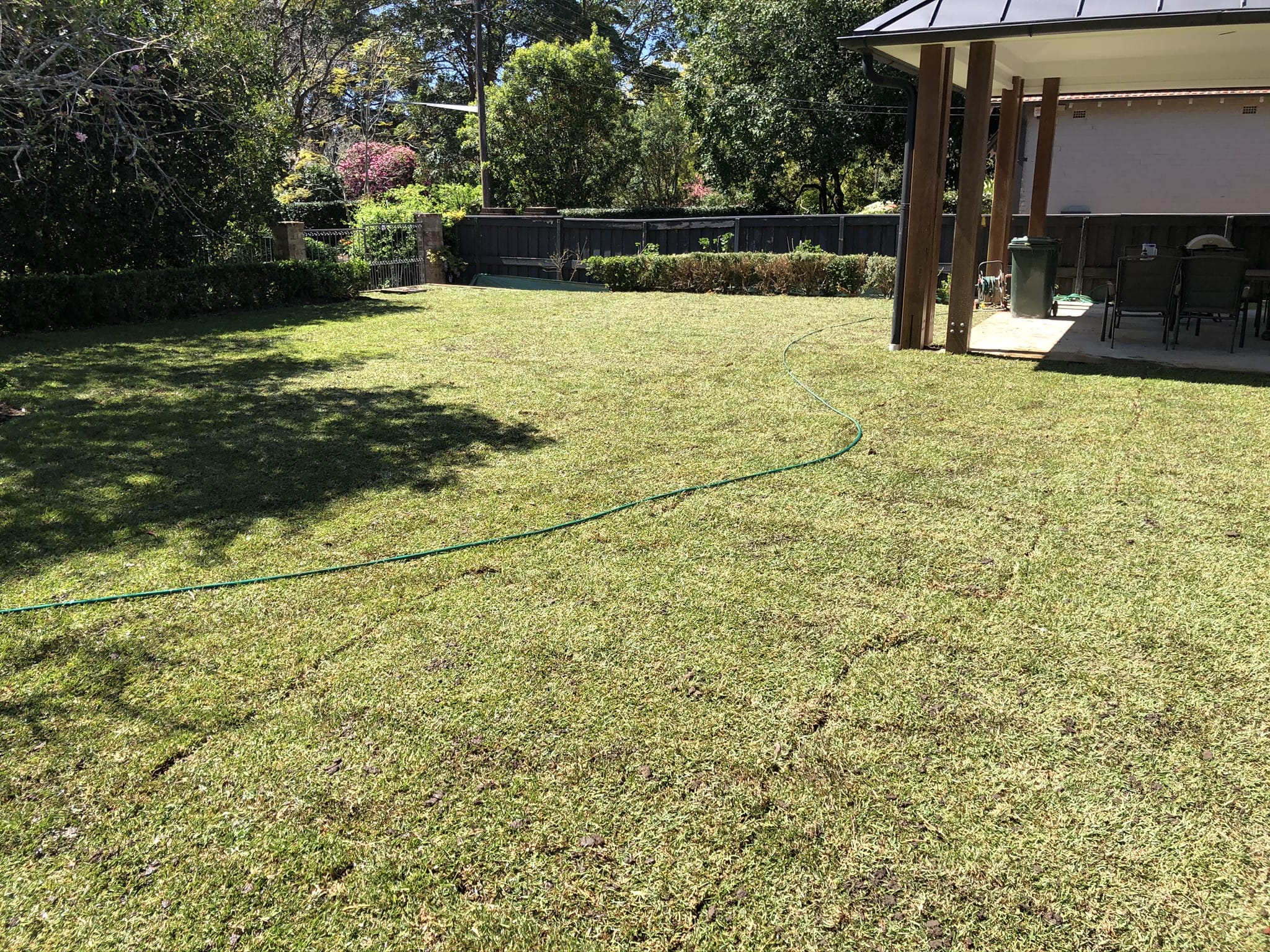 Yard Landscaping After Tree Removal Easy 4 Ways to Repair