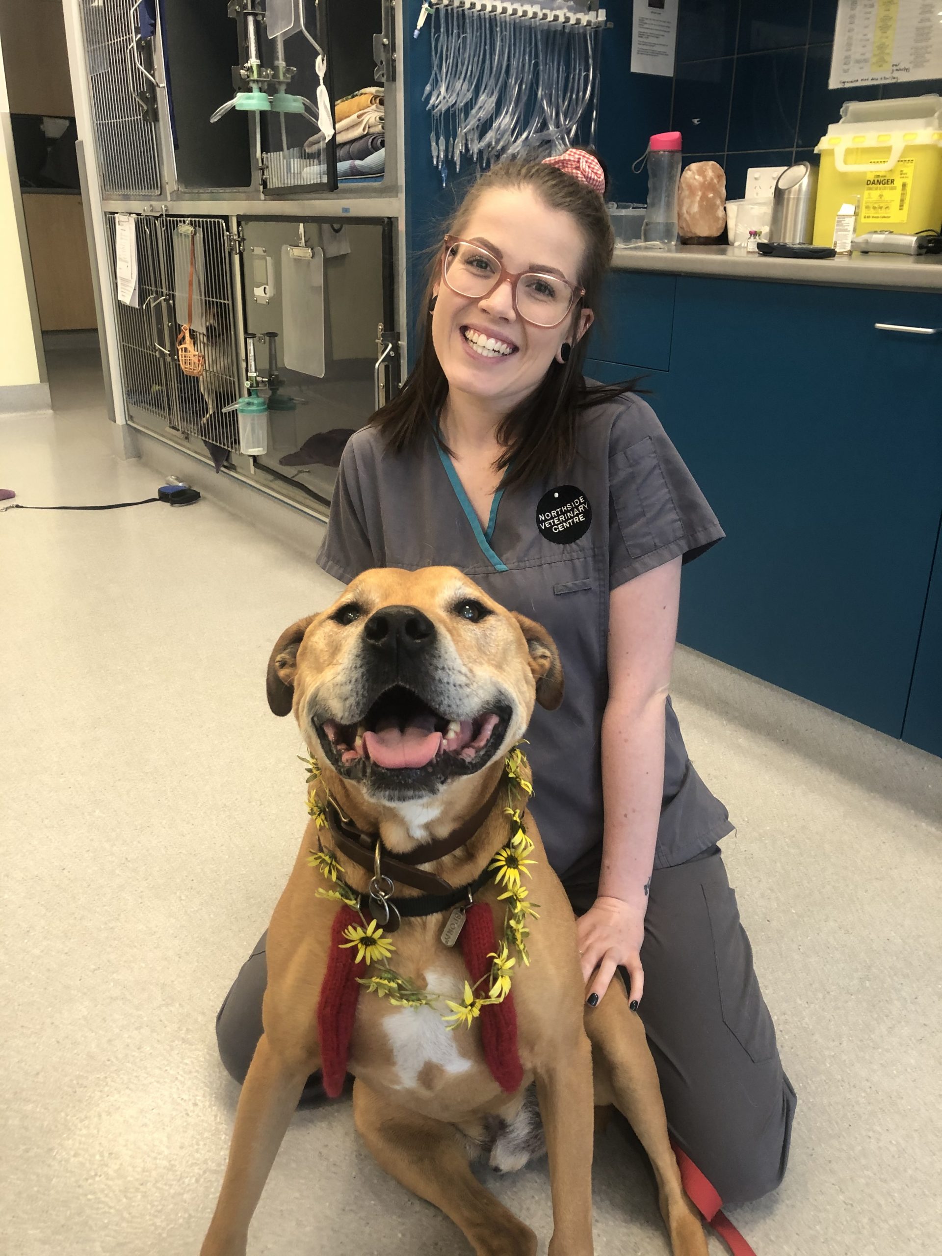 image0 NORTHSIDE VETERINARY CENTRE