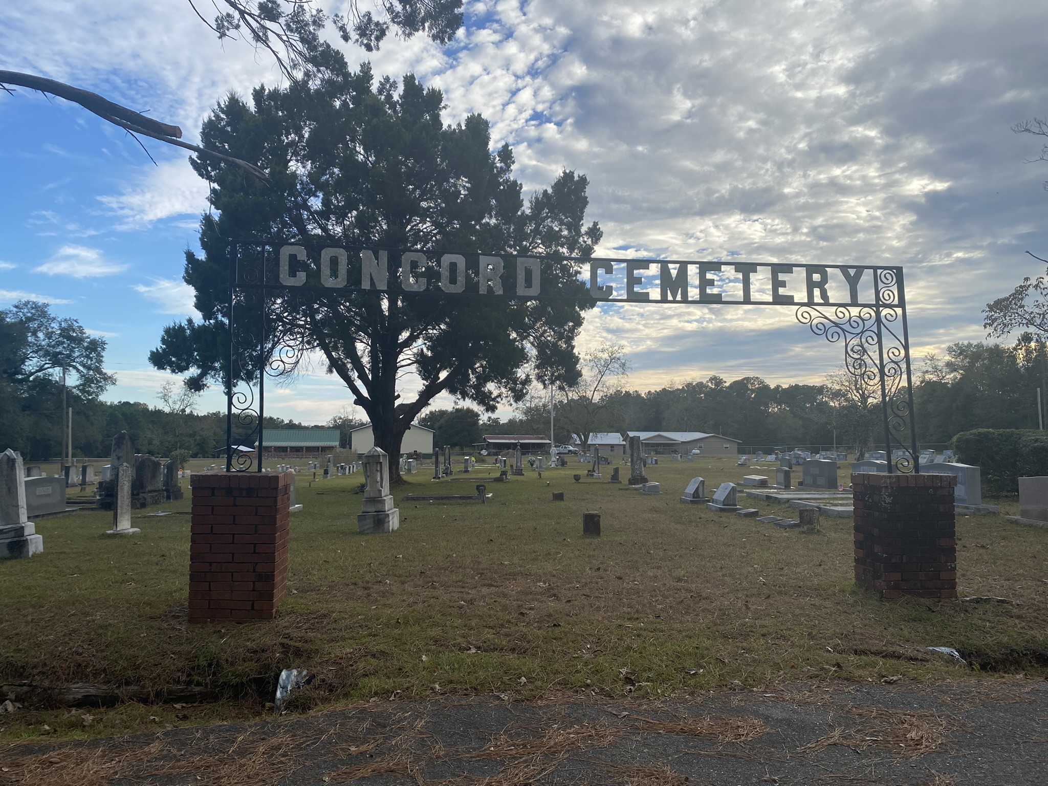 Demarien Hawk North Star Legacies