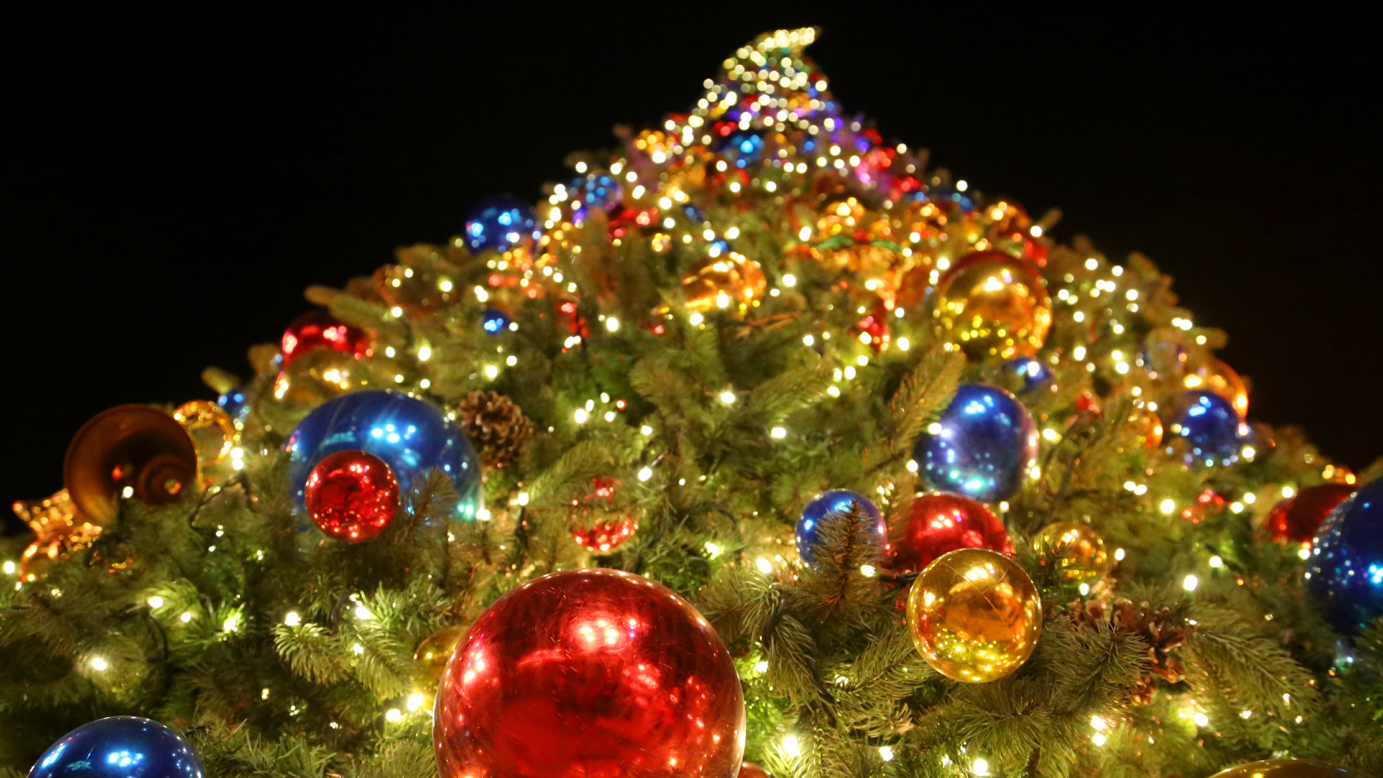 Palo Cedro Country Christmas 2022 Events For December 3, 2021