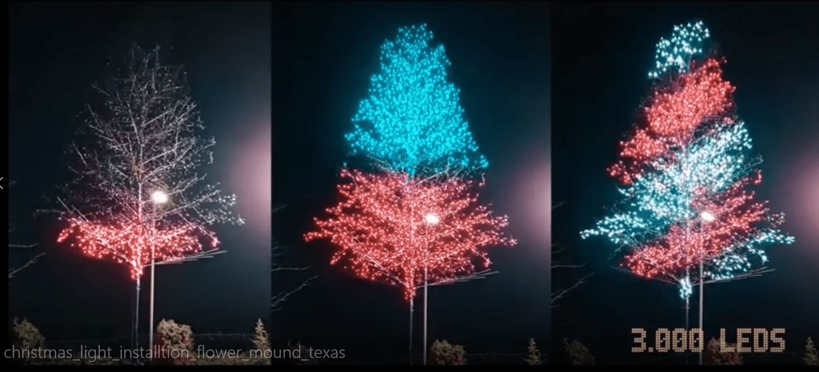 Texas Best Christmas Lights For You Texas Best Christmas Lights