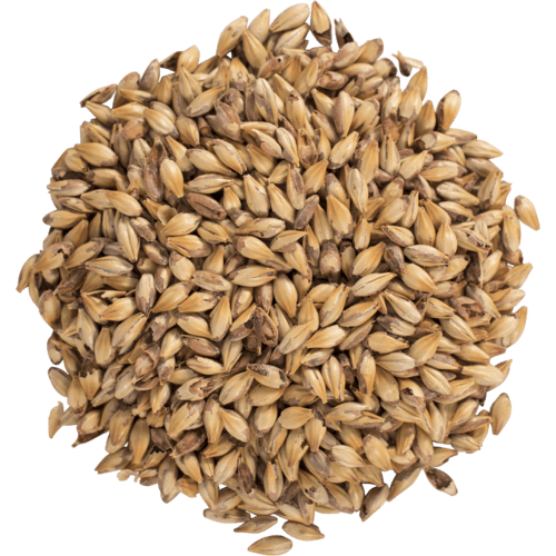 Briess Blonde RoastOat Malt North Texas Homebrew Supply