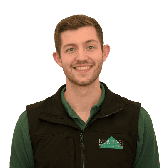 Meet The Team Northvet Veterinary Group
