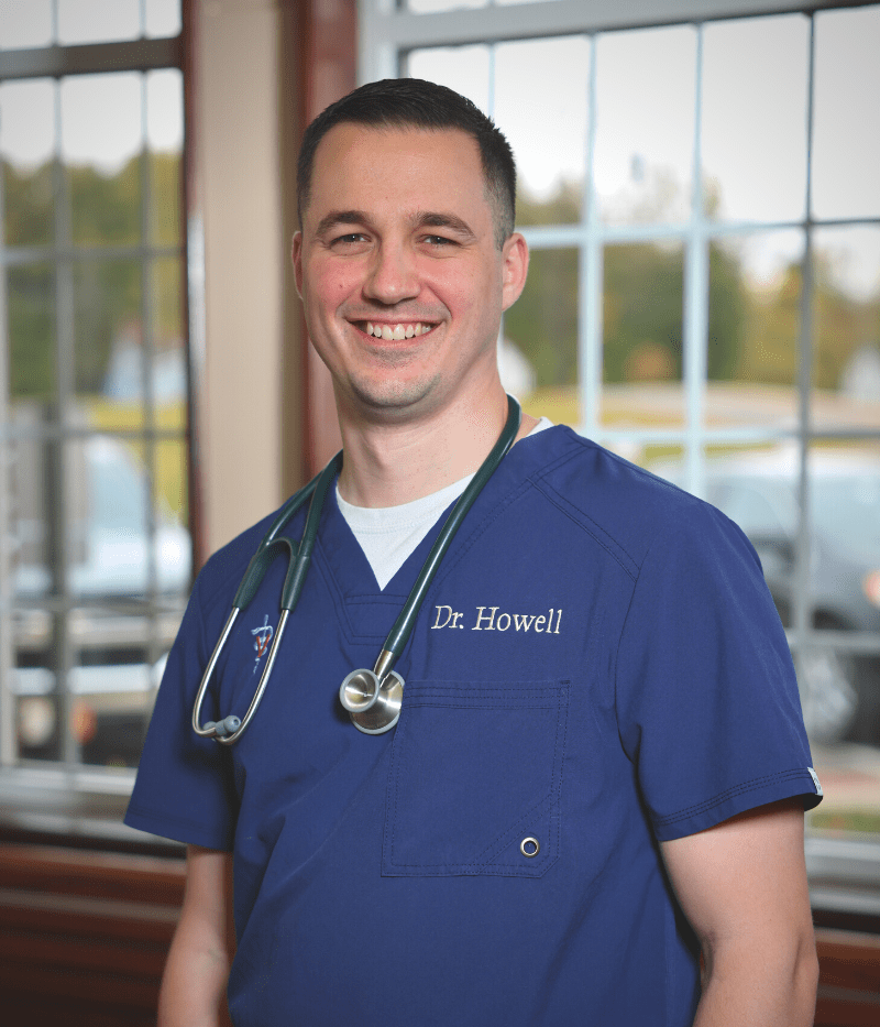 Animal Hospital in North Ridgeville, OH Northview Animal Clinic