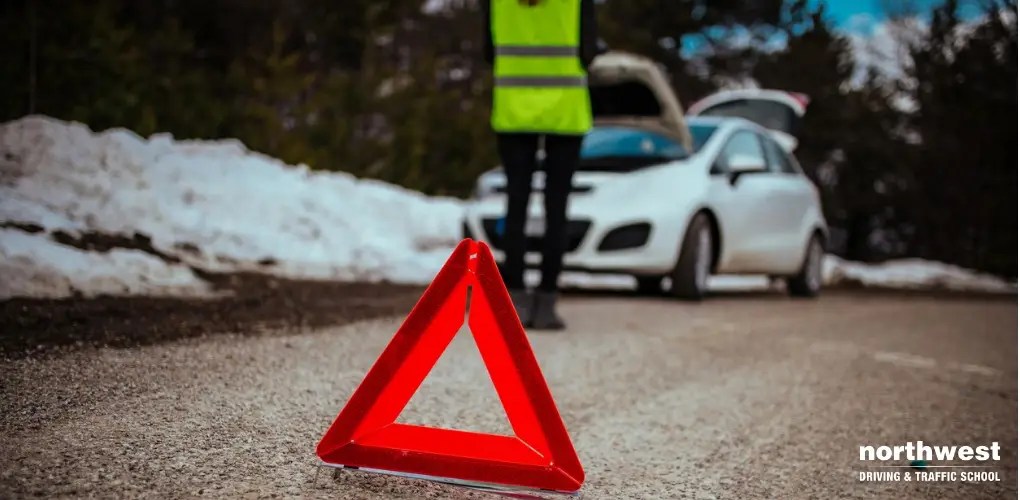 How To Complete An Emergency Stop In Your Driving Test Northwest