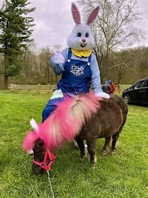 Hippity Hoppity Horses Northwestern Stables