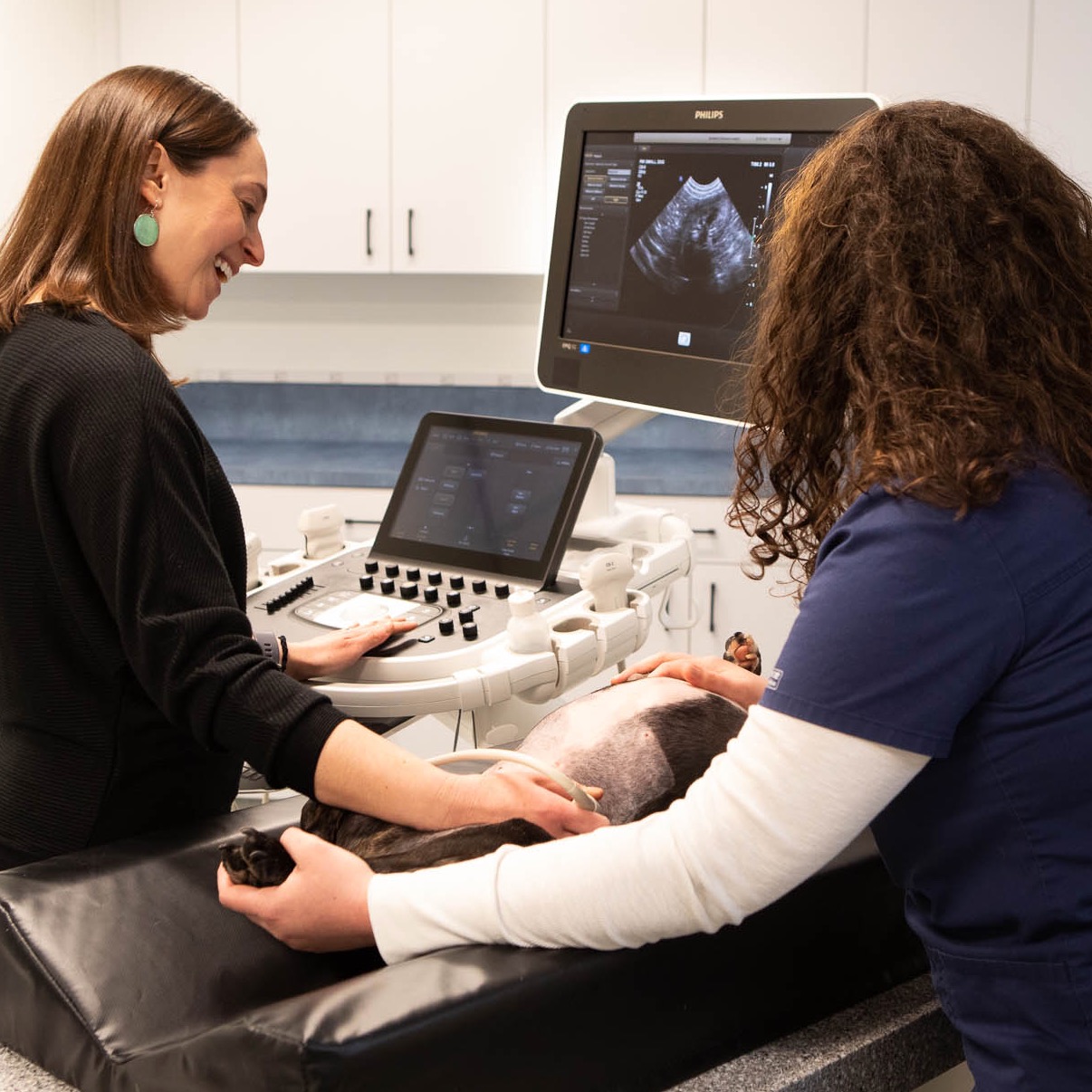 Northwest Veterinary Imaging