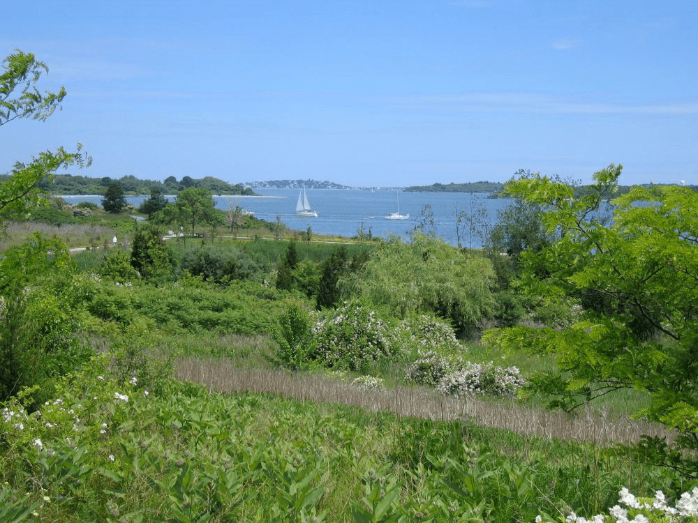 Photo Gallery North Weymouth Civic Association