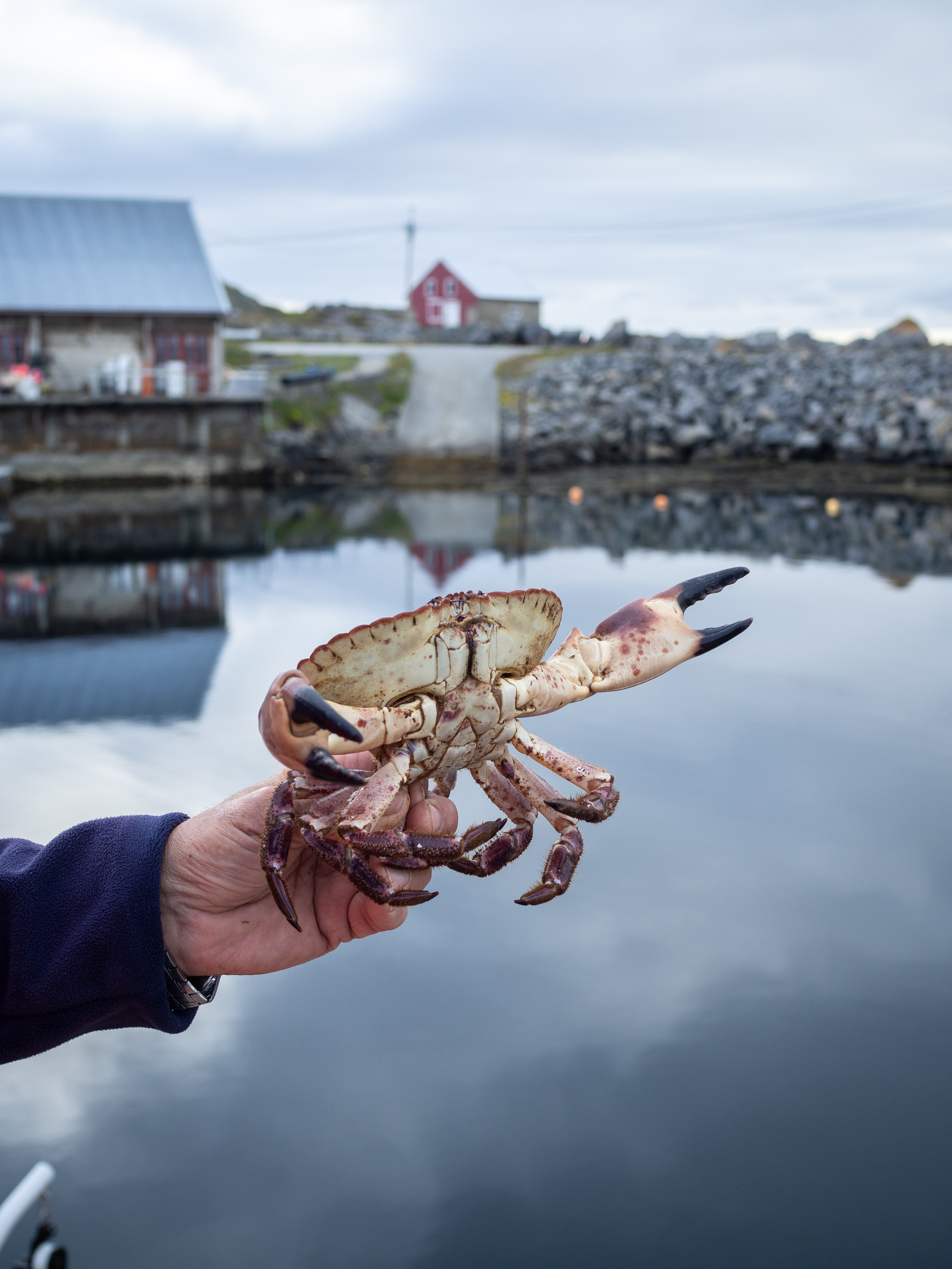 The Island of Ona & Crab Fishing North Wild Kitchen