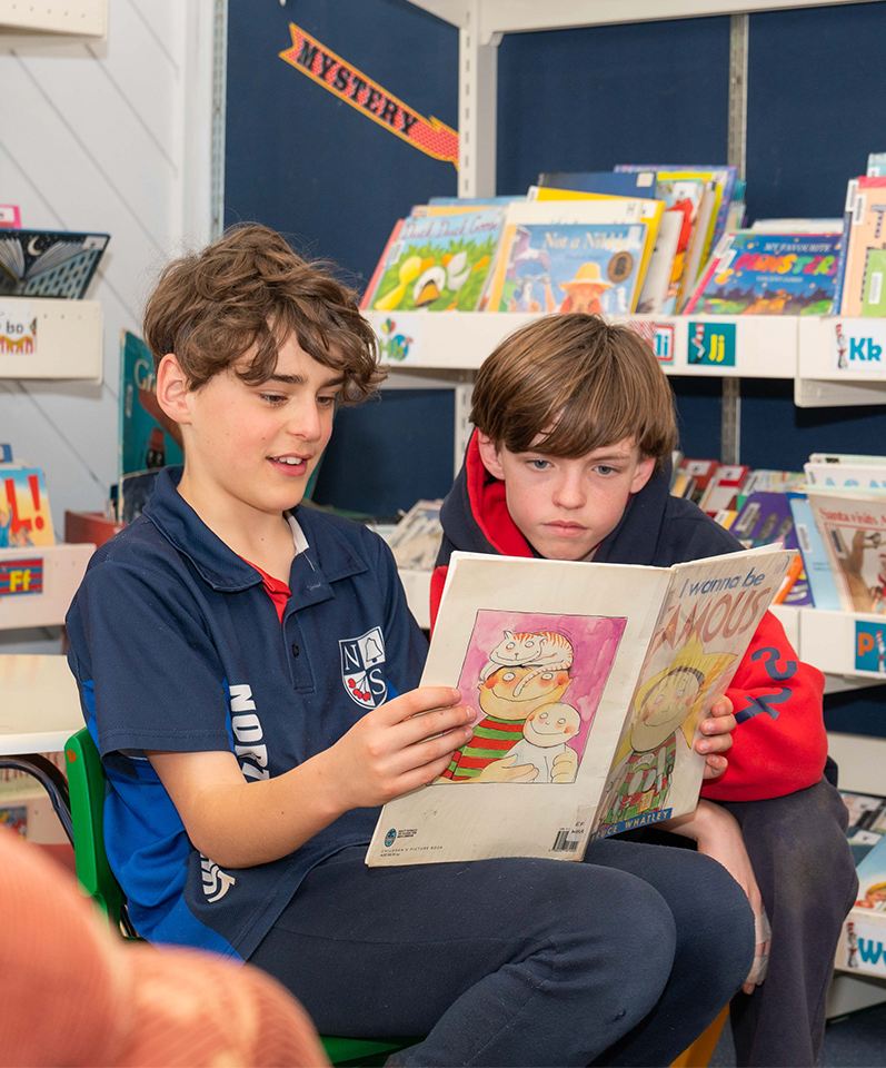 Curriculum Norton Summit Primary School