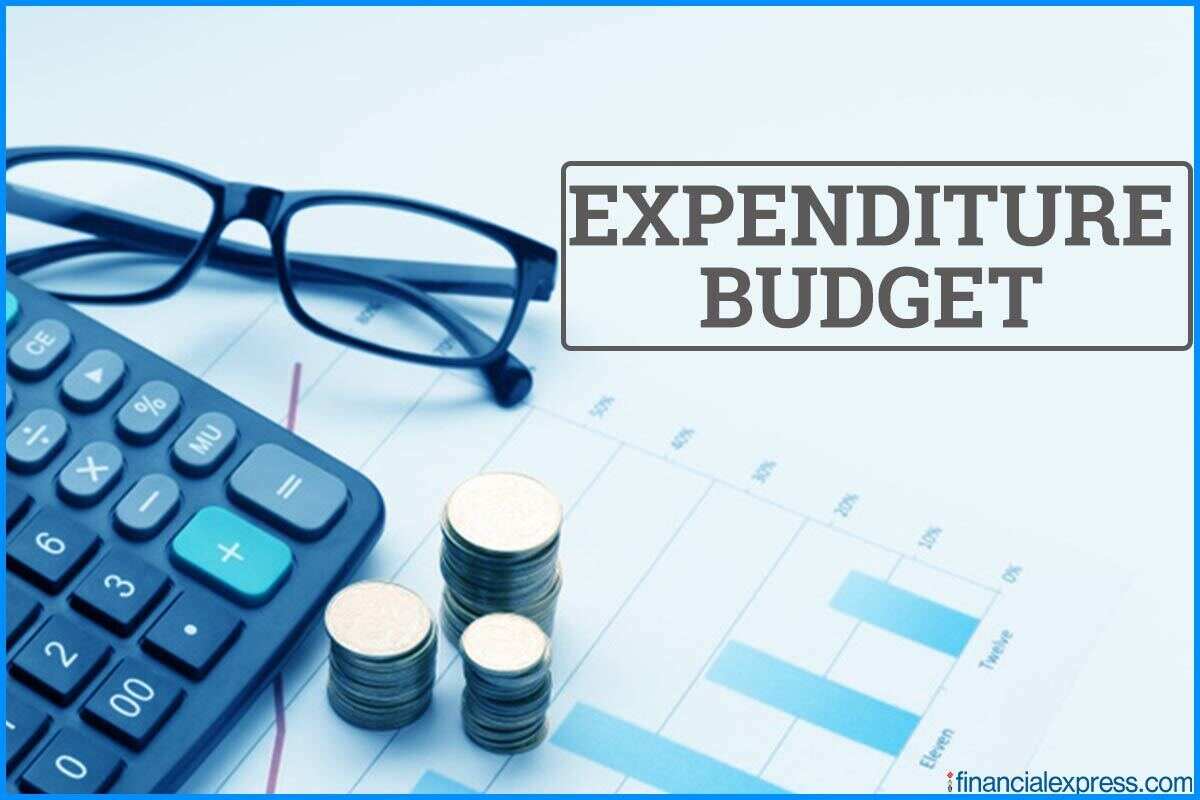 Government expenditure breakdown for Q1 2021