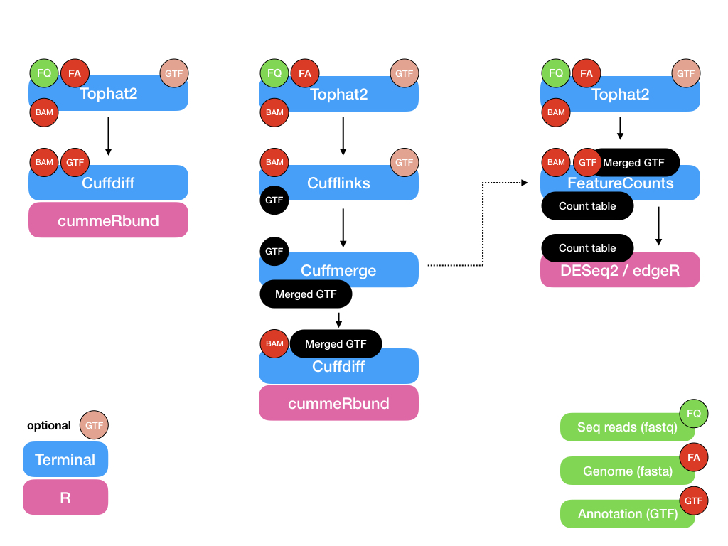 Bioinformatics training transcriptomics BioinfTraining