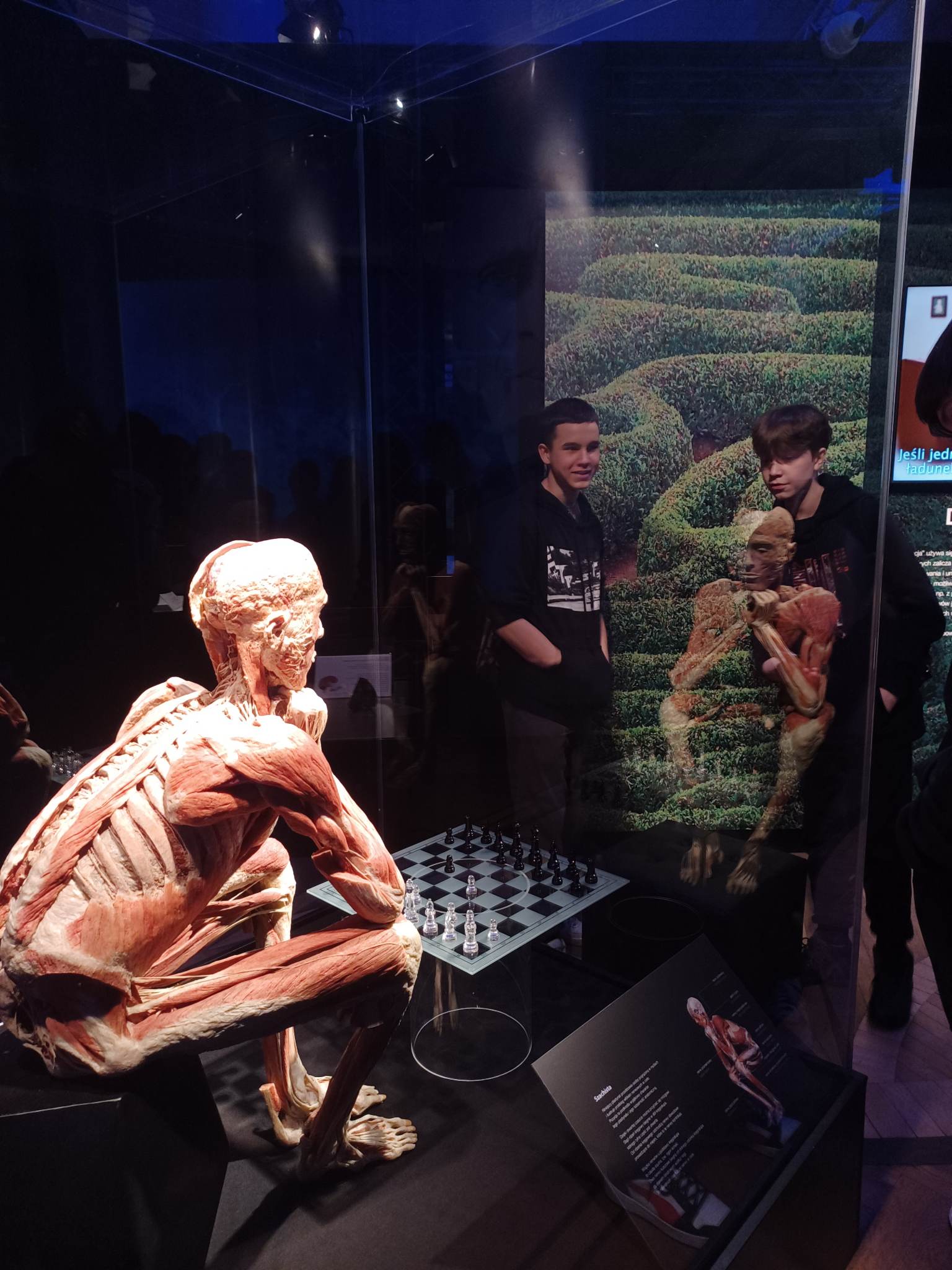 Wystawa Body Worlds edukacja i refleksja. Liceum Ogólnokształcące