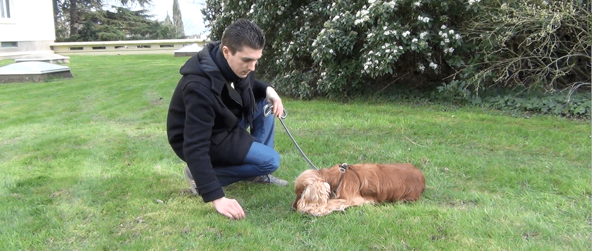 [Vidéo] Comment apprendre le "couché" à son chien