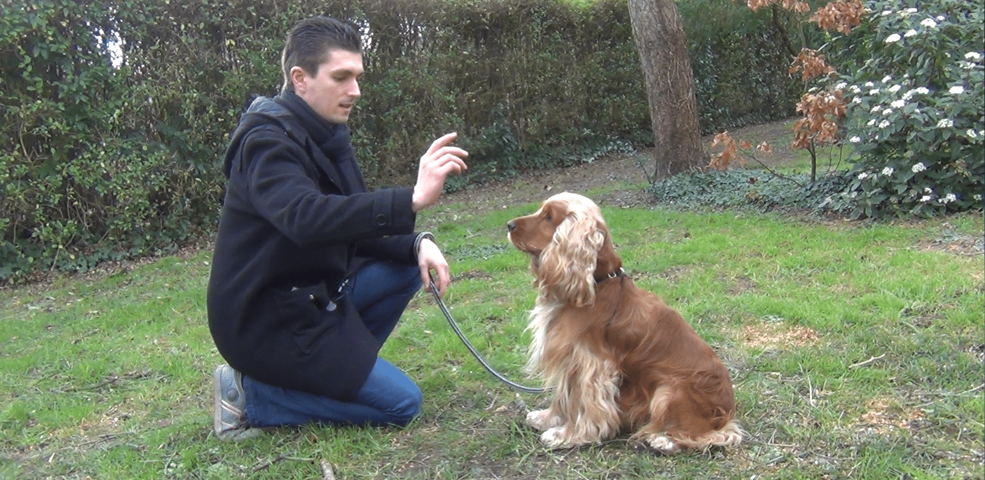 [Vidéo] Comment apprendre le "couché" à son chien