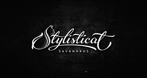 StylishScriptLogoDesign