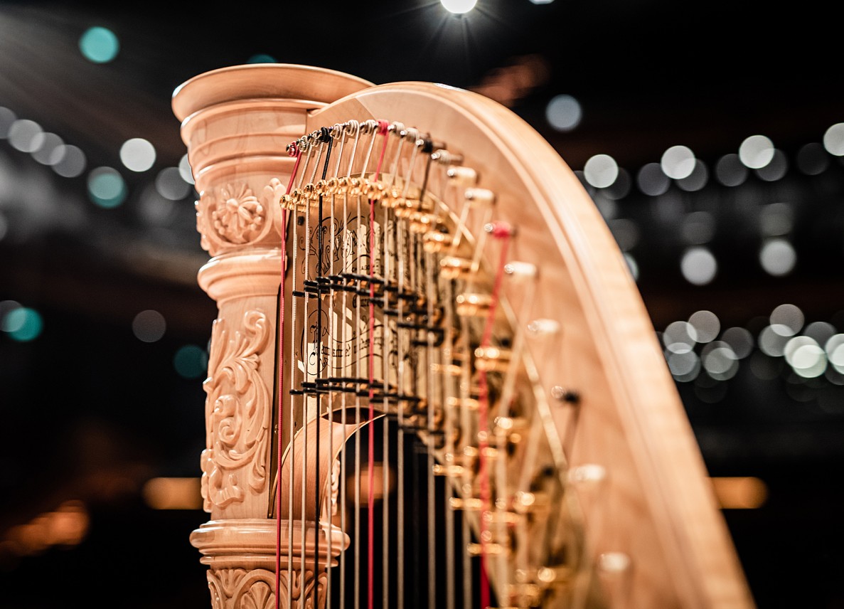 In harp land / special concert for children NOSPR