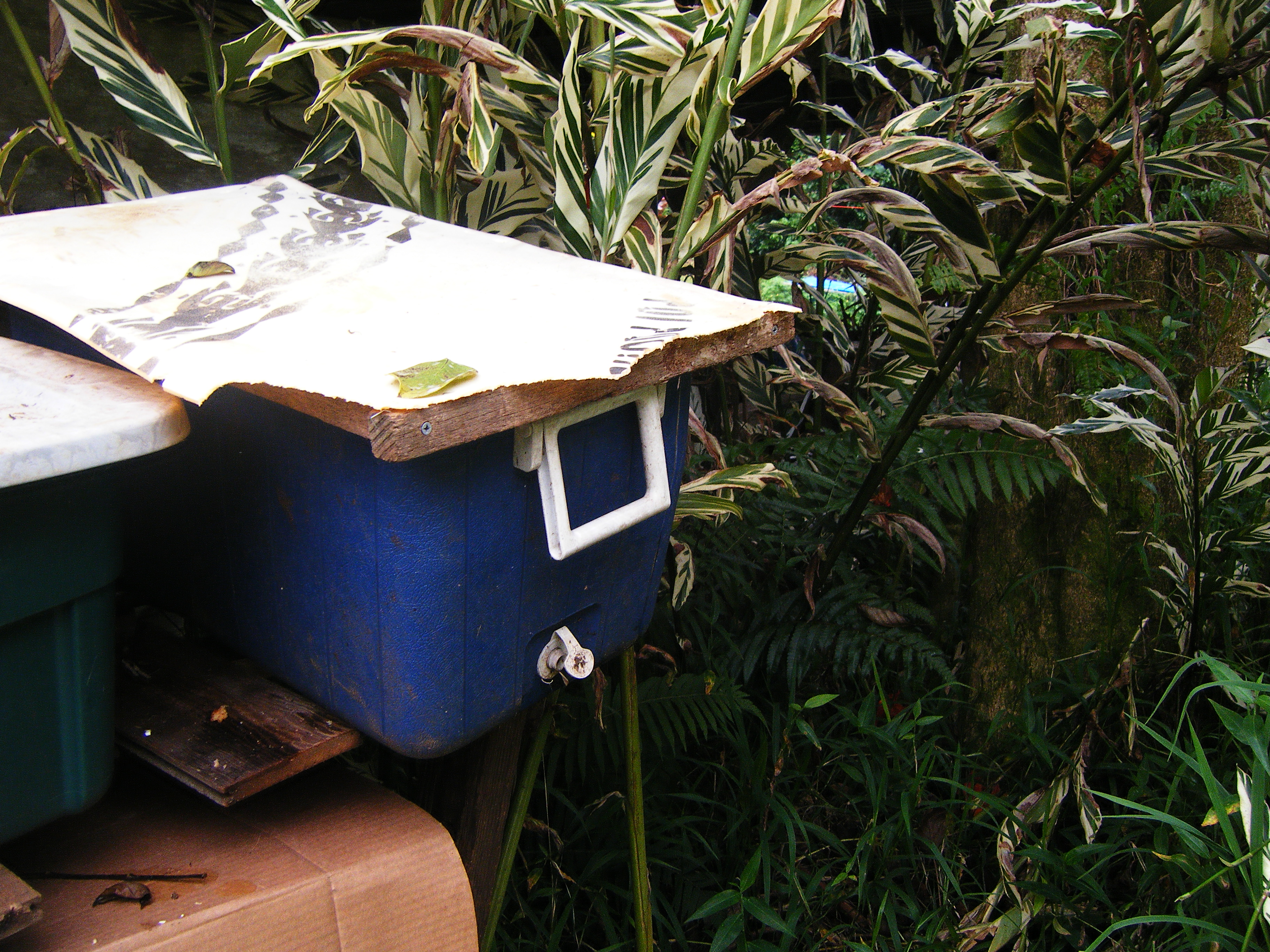 How to make a worm bin from recyled material No Spray Hawaii