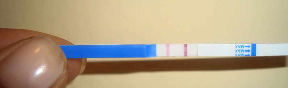 Momentos Nossos Flihos, Nossas Vidas.