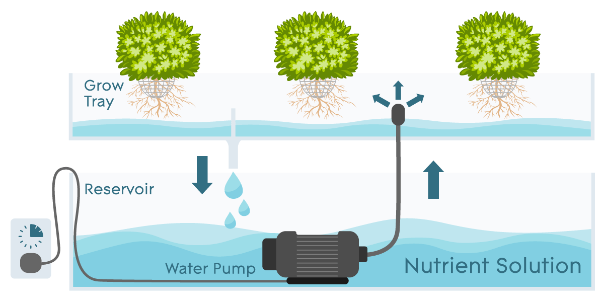 Understanding the Ebb & Flow System Stress Free Grow Guide