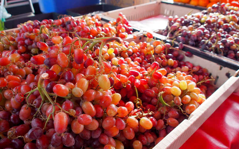 Irvine Farmer's Market moved from UCI to Mariner's Church