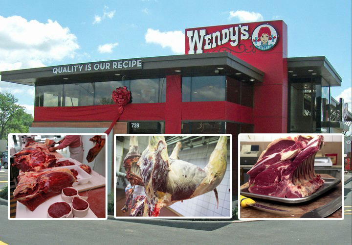 Wendy’s Exposed for Using Horse Meat