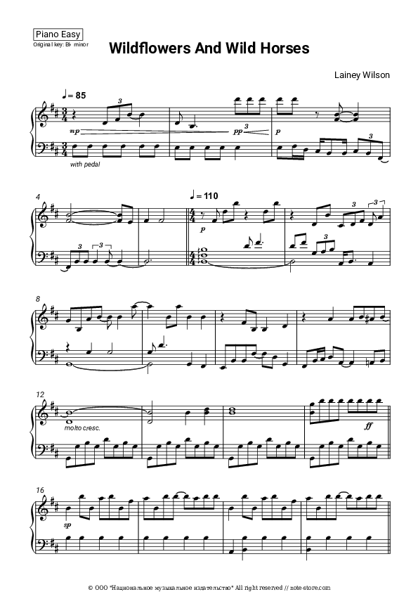 Wildflowers and Wild Horses piano sheet music easy Lainey Wilson in