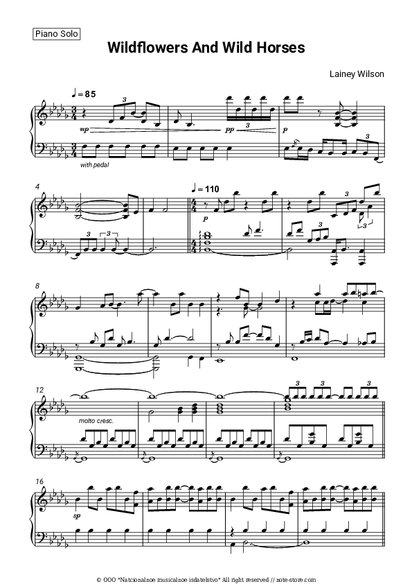 Wildflowers and Wild Horses piano sheet music Lainey Wilson in Note