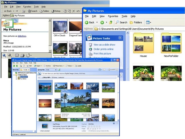 Managing And Sharing With Windows Live Photo Gallery