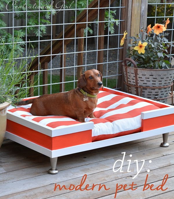 25+ Creative DIY Pet Bed Tutorials and Ideas 2022