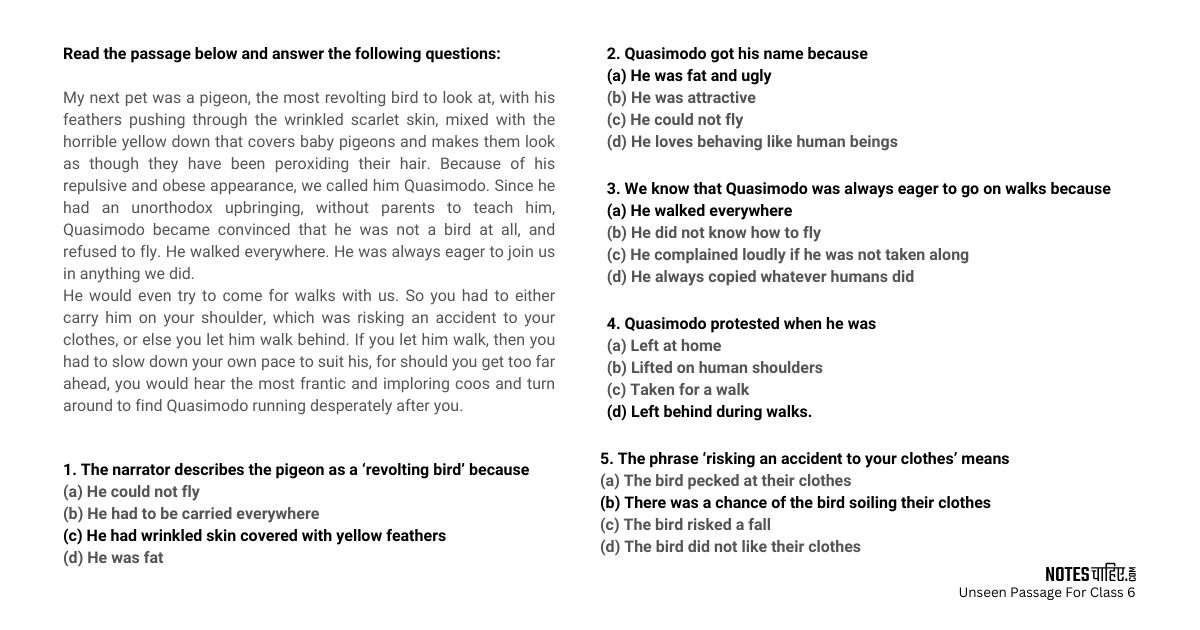 Unseen Passage Practice Worksheet and Guide For CBSE