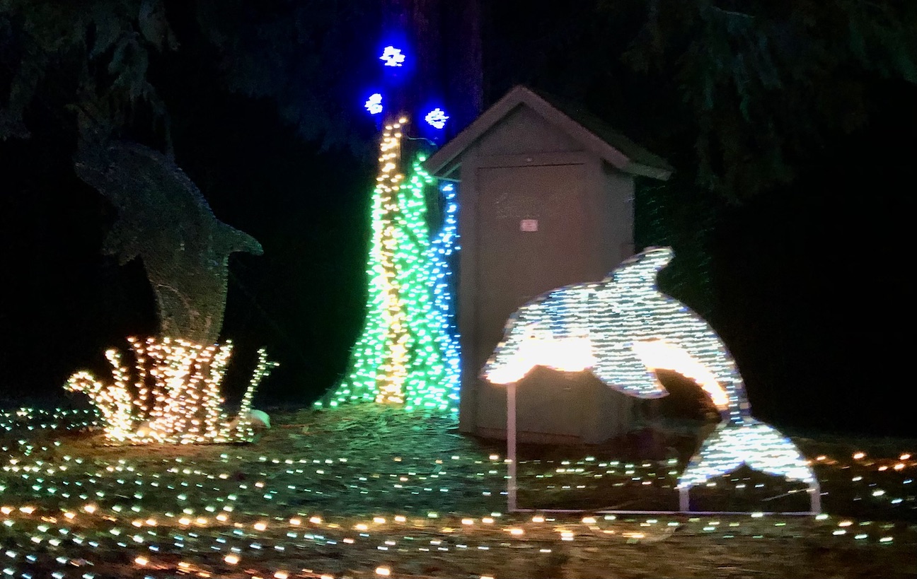 2022 Admission ⋆ The Lights of Christmas