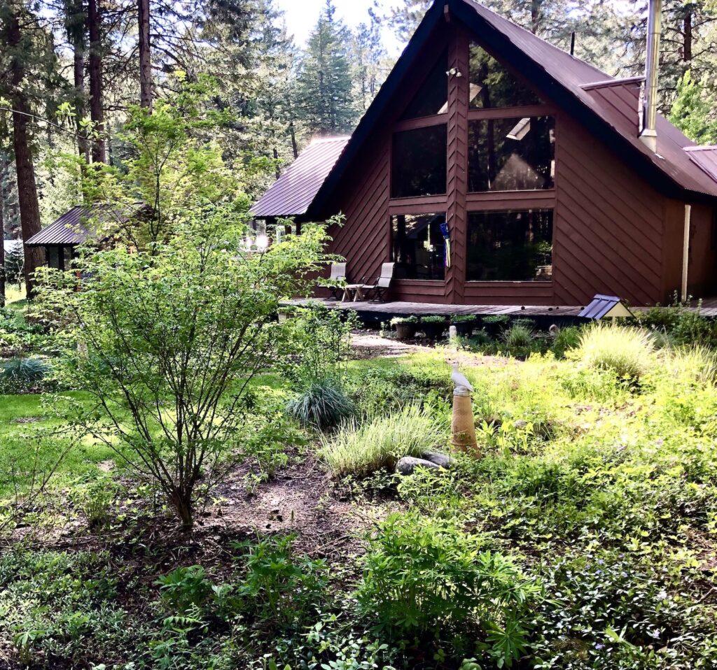 VISITING HOME "SHADY GROVE" By Lorelie Olson