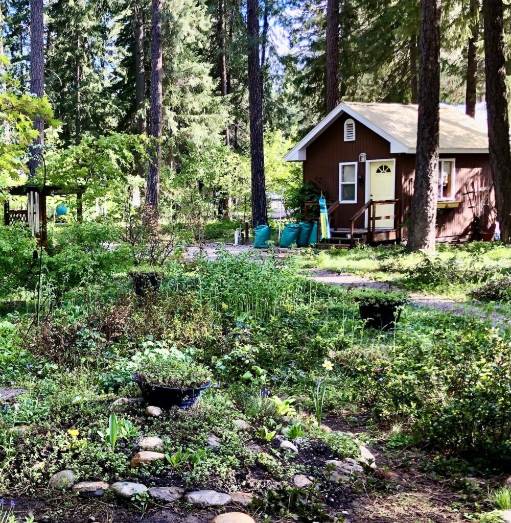 VISITING HOME "SHADY GROVE" By Lorelie Olson