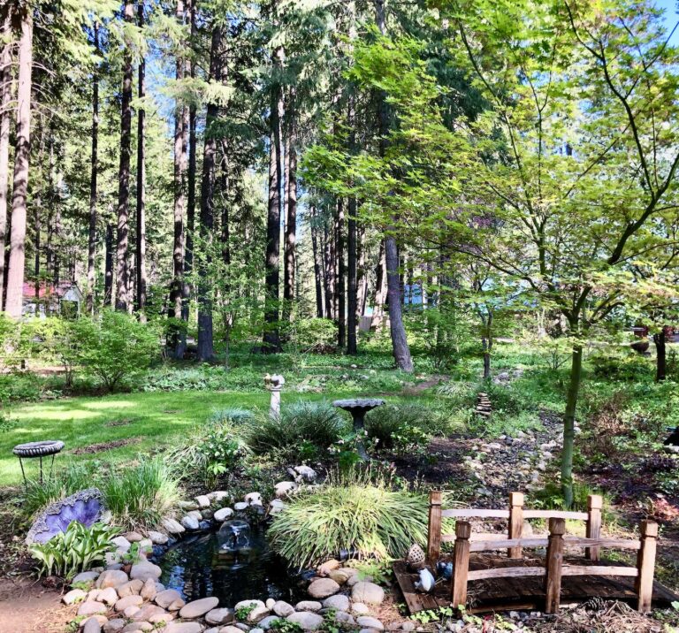 VISITING HOME "SHADY GROVE" By Lorelie Olson