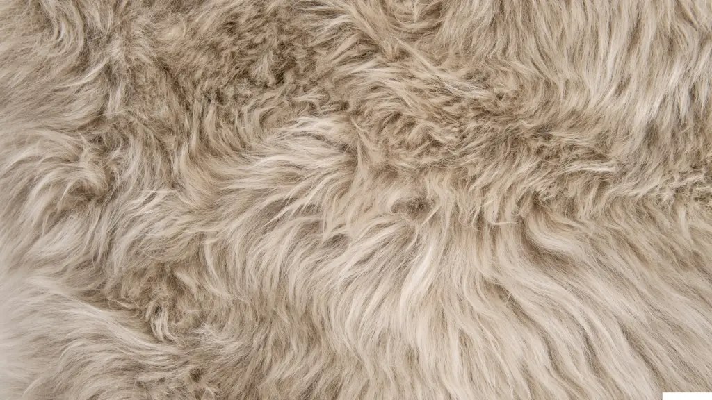 How to clean sheepskin rug Notes From The Porch