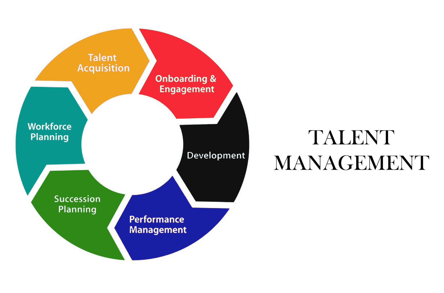 Talent Management Definition, Types and Importance Notes Learning