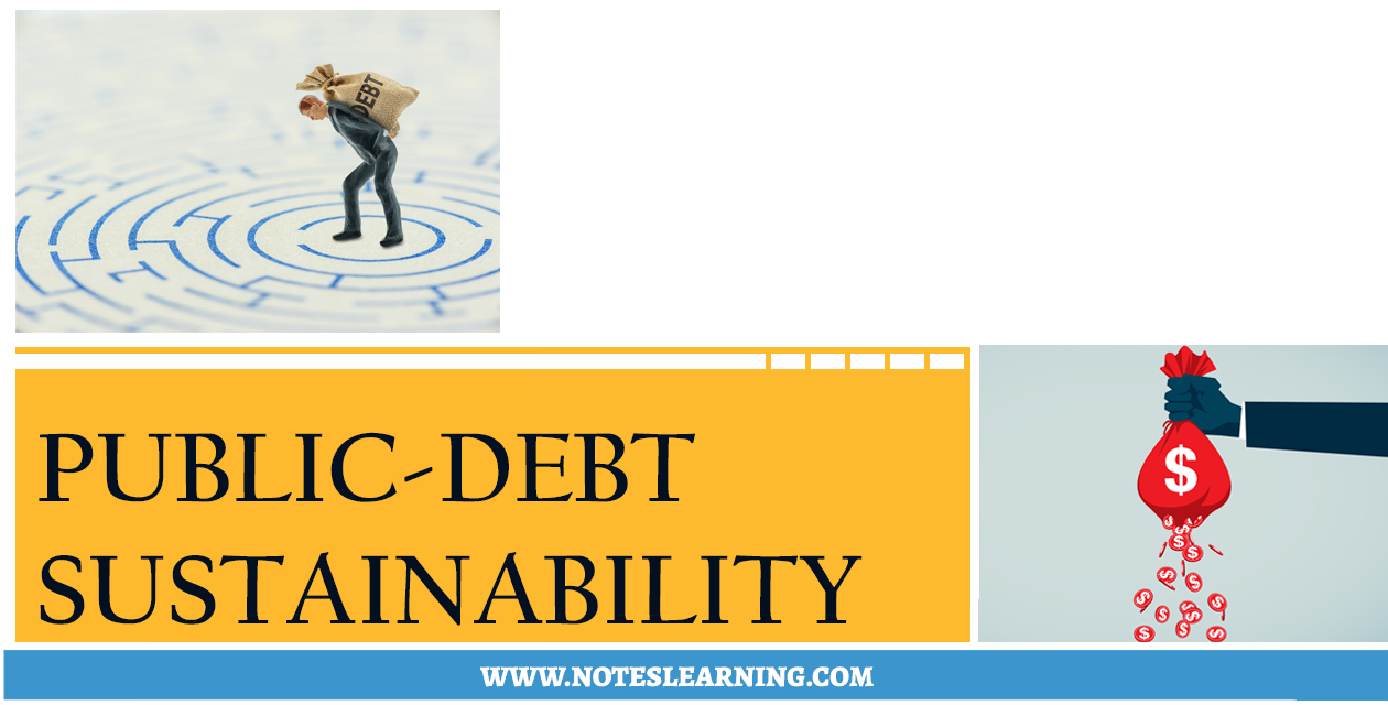 What is Public Debt Sustainability ? Notes Learning