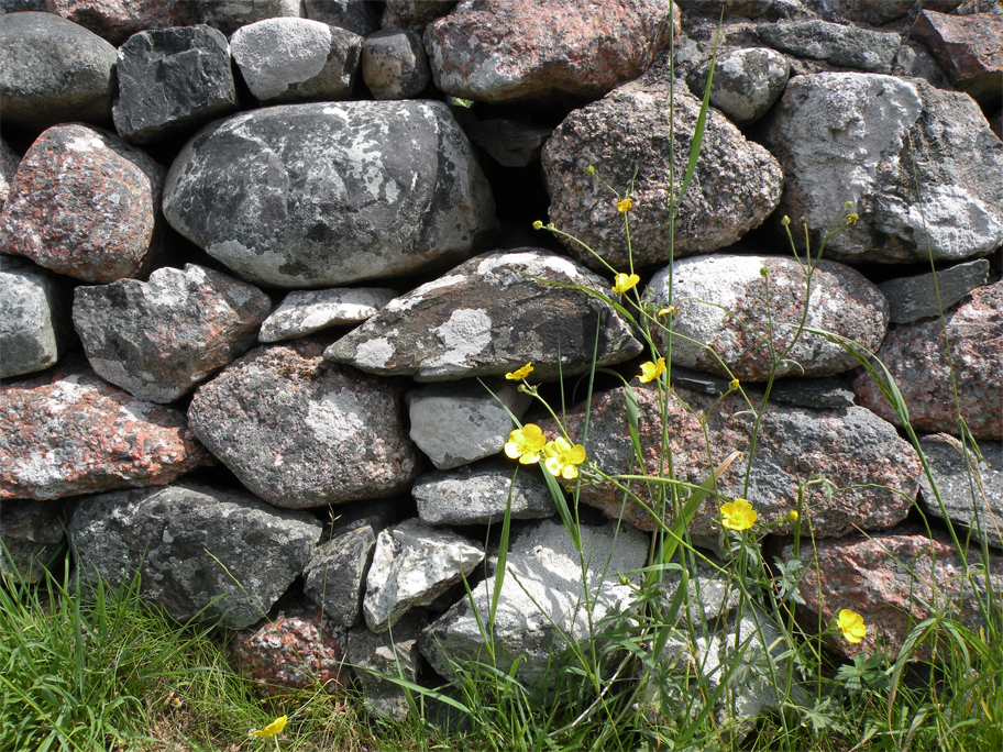 Mulling it over The Road to Iona, Scotland. Plus Ultra