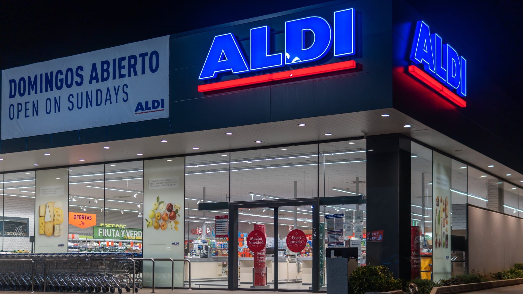 Aldi horarios, mejores productos, comprar online y curiosidades