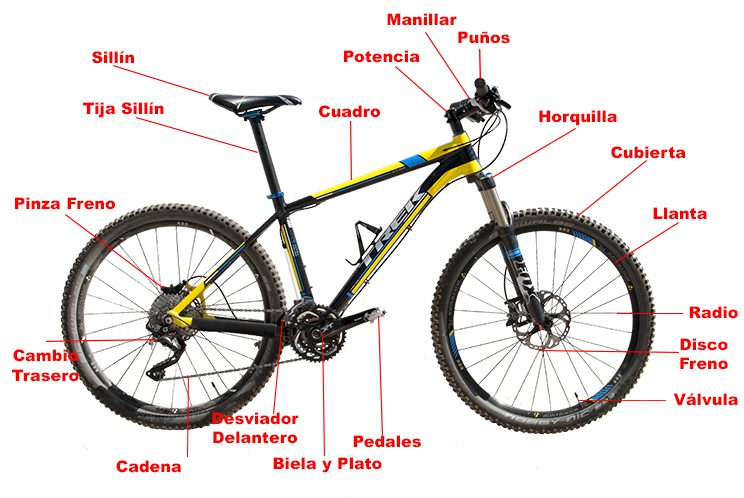 Partes básicas de una bicicleta Noticias MTB