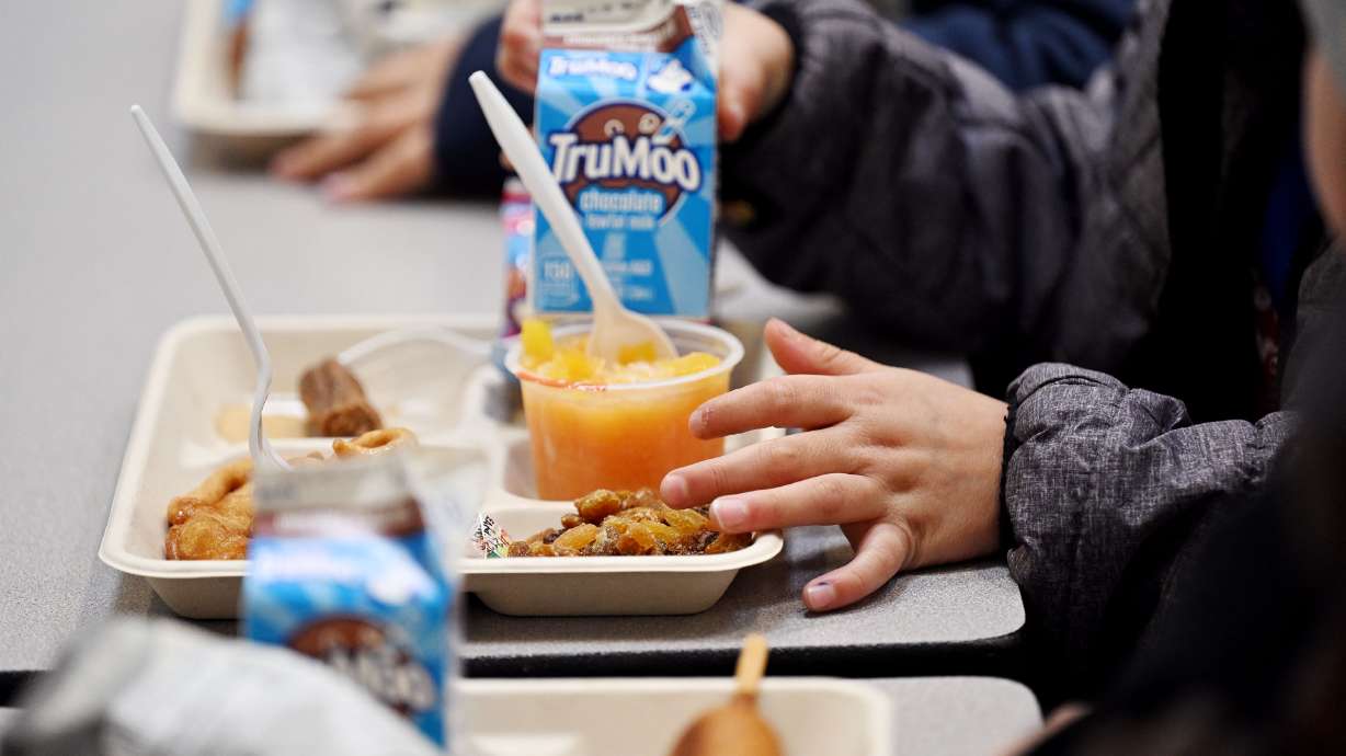 ESCUELAS DE CLAY OFRECERÁN DESAYUNOS Y ALMUERZOS GRATIS ESTE VERANO ESCUELAS DE CLAY OFRECERÁN DESAYUNOS Y ALMUERZOS GRATIS ESTE VERANO