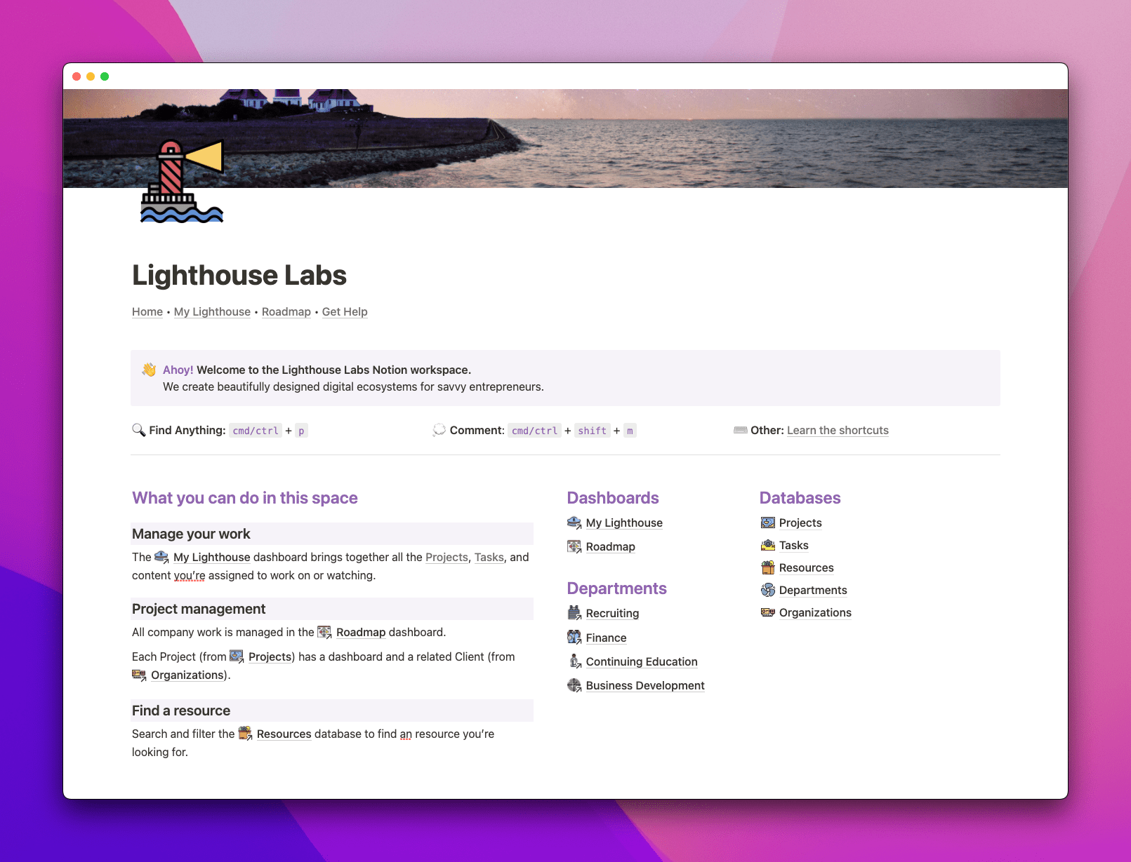 Designing for Notion The "Craigslist Effect" — Notion Mastery