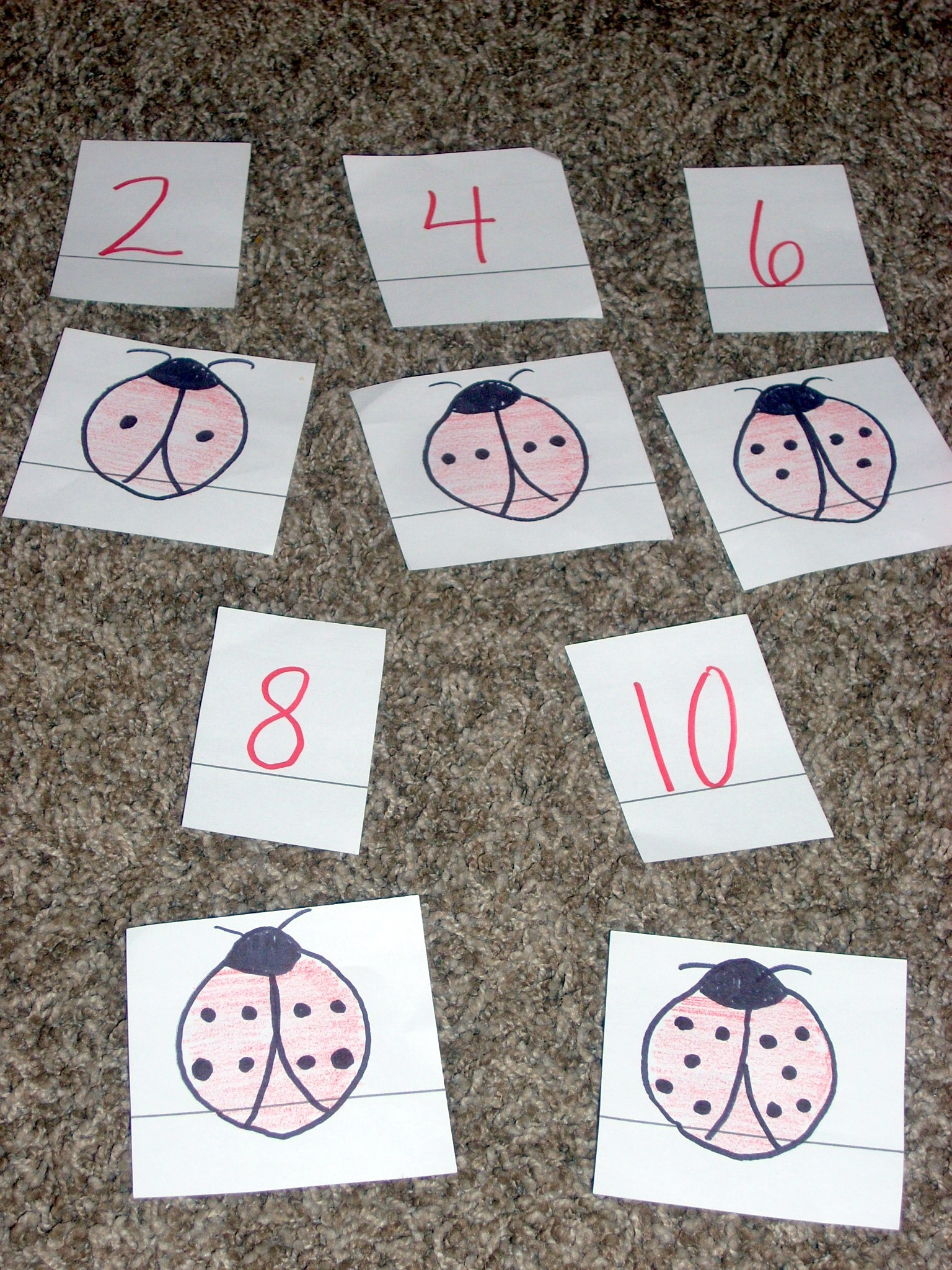 Eric Carle Author Study The Grouchy Ladybug and The Very Clumsy Click