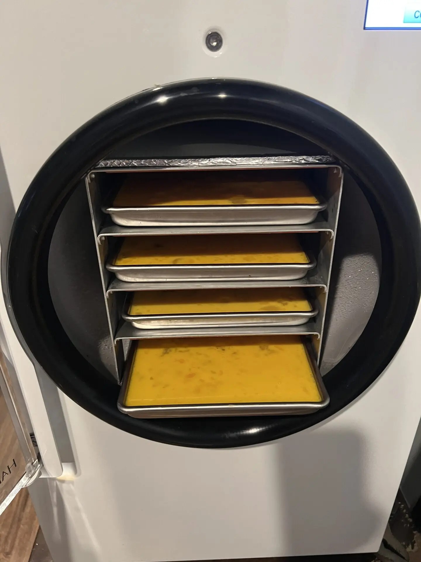 StepbyStep How To Freeze Dry Eggs