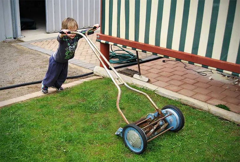 Do this if your lawn mower blade is spinning but not cutting Not Sealed