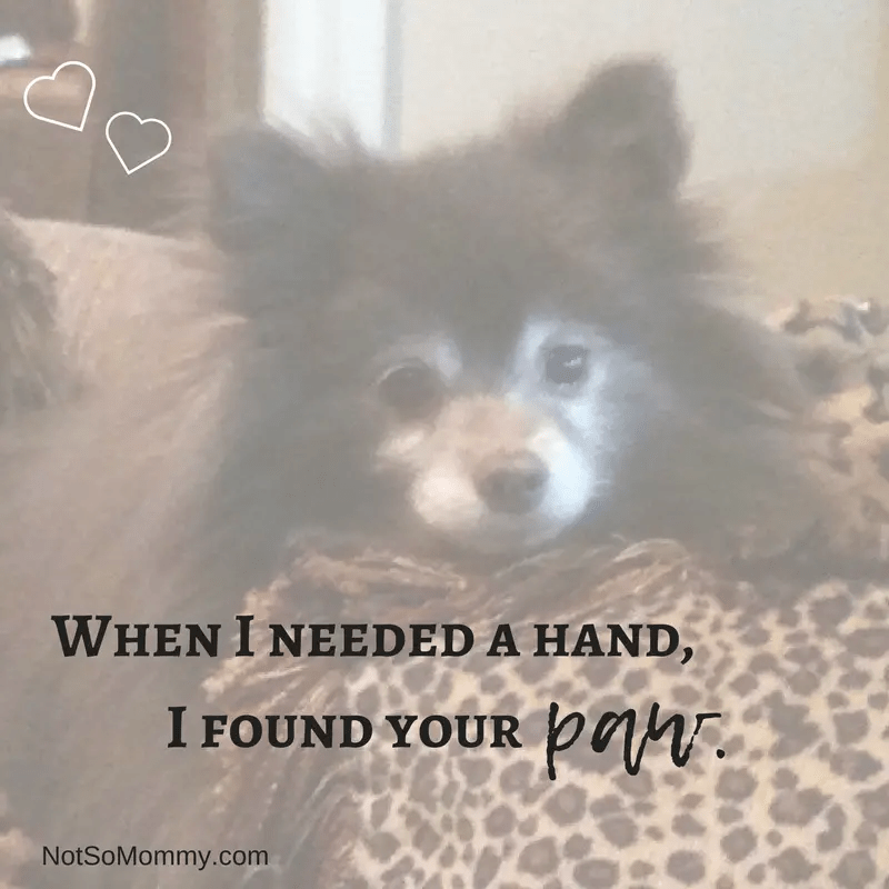 Good Things Puppies, Dogs, Fur Babies Not So Mommy...™