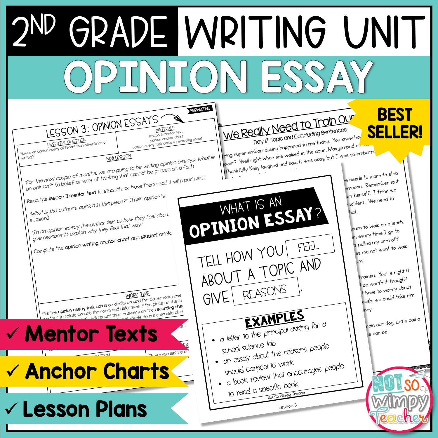 Opinion Writing Unit SECOND GRADE - Not So Wimpy Teacher