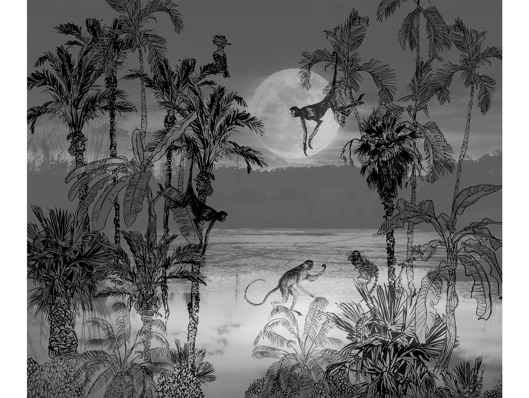 Black and White Amazon jungle Wall mural Nouqoush