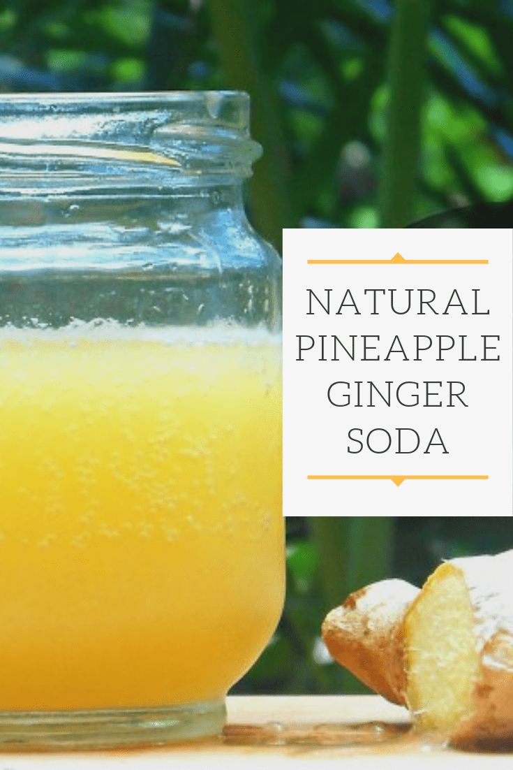 Pineapple Ginger Soda Recipe (Easy, Natural Ferment) Nourishing Time